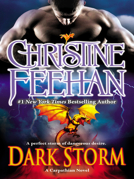 Title details for Dark Storm by Christine Feehan - Wait list